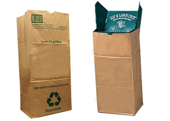 https://m.multiwallkraftpaperbags.com/photo/pl33054130-110l_30_gallon_paper_yard_waste_bags_biodegradable_lawn_paper_bags.jpg